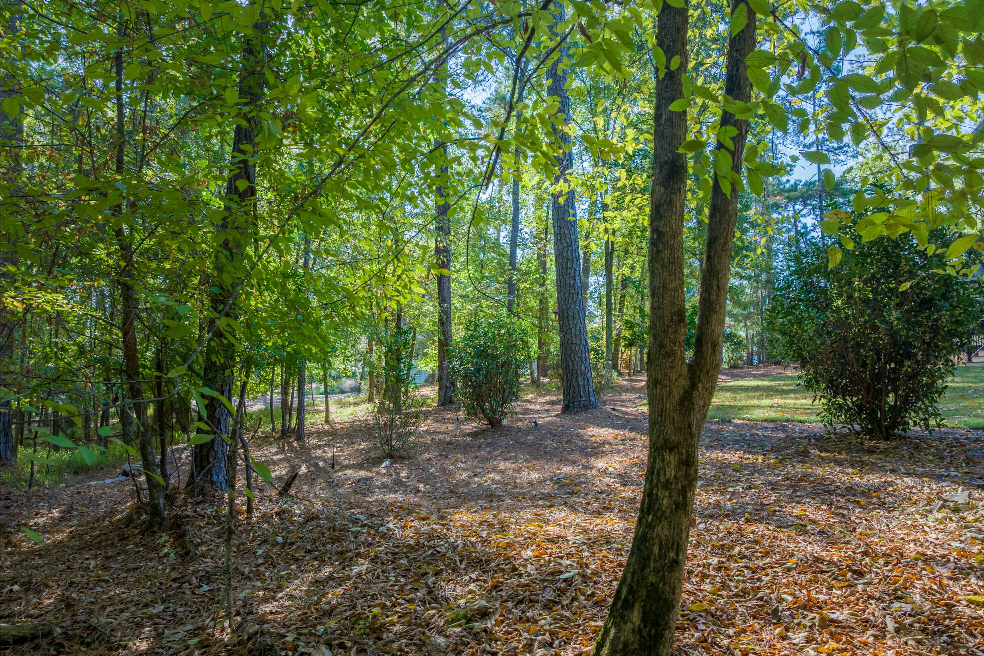 1030 Snug Harbor Court image 9